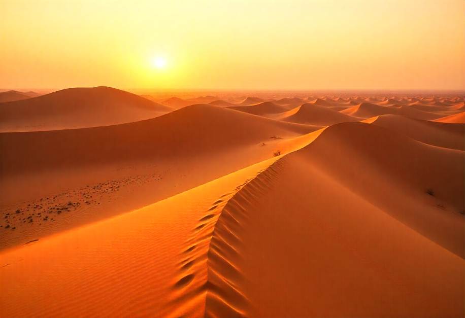 M&I Expo 2026 in Abu Dhabi to Feature Groundbreaking Educational Programme