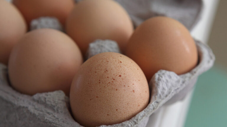 Salmonella Outbreak Linked to Eggs Sickens Dozens