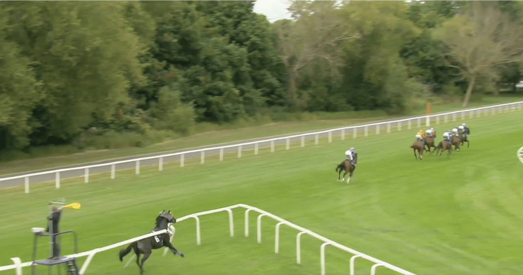 Blindfolded horse smashes barriers, five jockeys banned and race voided in Windsor chaos