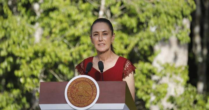 Mexico denies U.S. DEA statement on cross-border deal to fight drug cartels – National