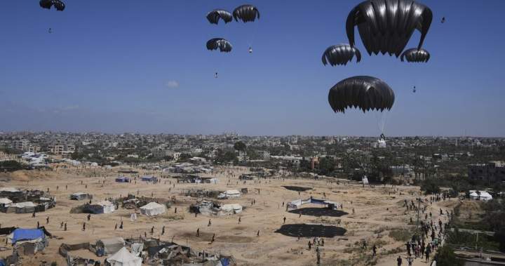 Trump officials to inspect Gaza food distribution as death toll rises – National