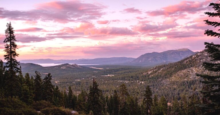 California resident in Lake Tahoe area tests positive for plague