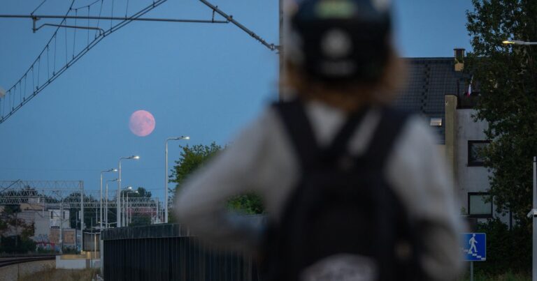 Perseids meteor shower will peak next week. But will the moon ruin it for viewers?