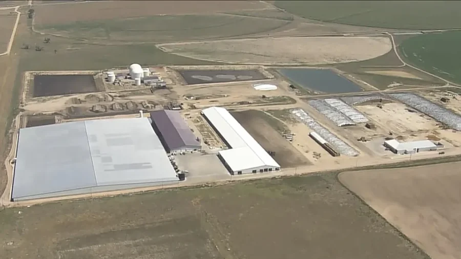 6 People Are Found Dead at a Colorado Dairy. Authorities Suspect an Accident Involving Gas Exposure