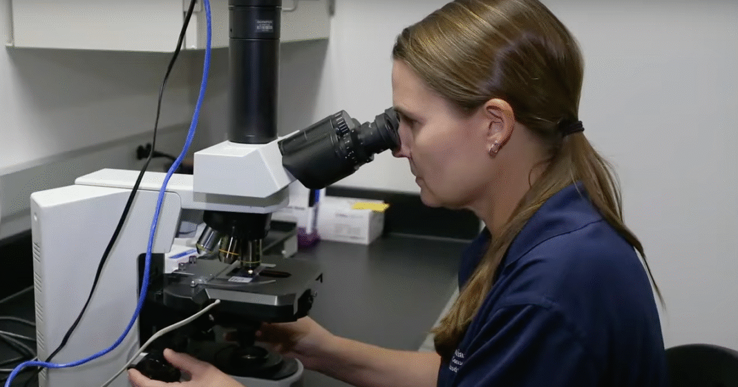 How a Smithsonian lab is helping threatened species get off the endangered list