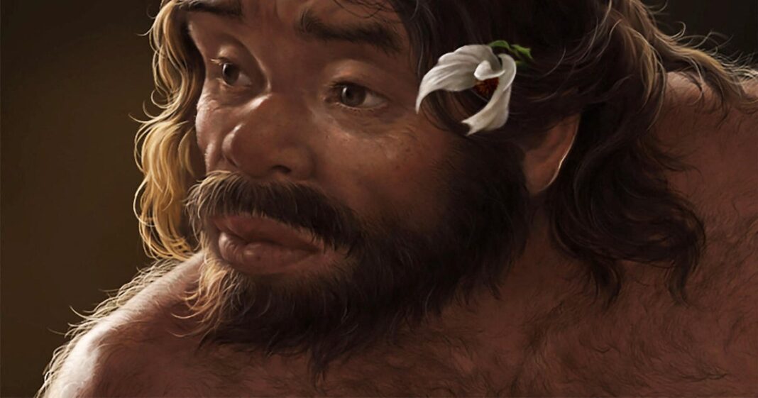 Million-year-old skull found in China could rewrite human evolution timeline, study finds: “This changes a lot of thinking”