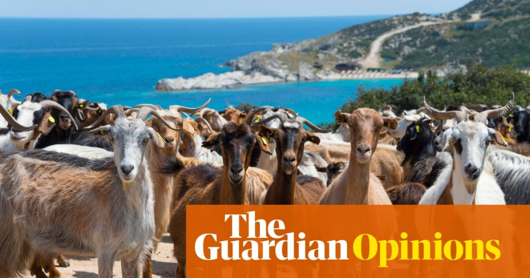 It’s the big fat Greek farming scandal – devised by the political elite and paid for by ordinary people | Alexander Clapp