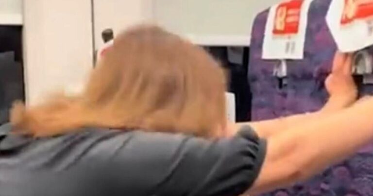 Shocking moment angry woman shoves train passenger’s seat after she does 1 thing | World | News