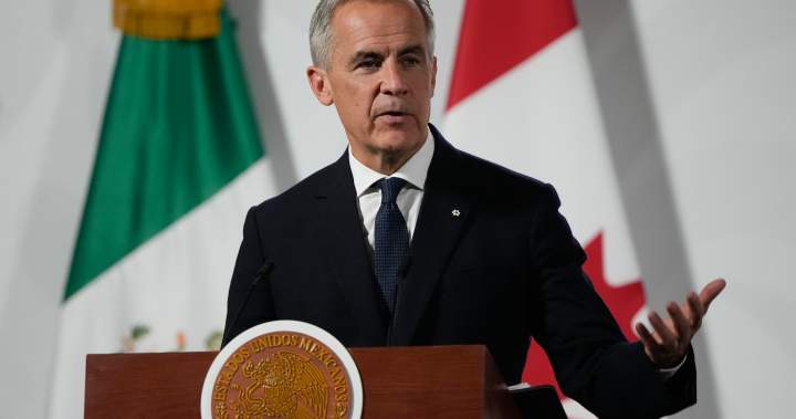 Carney says Mexican gangs operating in Canada ‘and vice versa,’ vows action – National