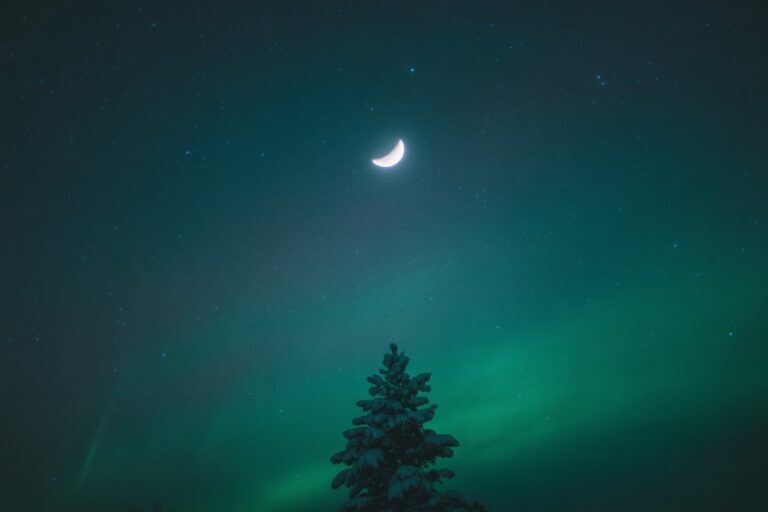 New Zealand’s Naseby Makes History as the Country’s First Ever International Dark Sky Community Achieving Prestigious Recognition