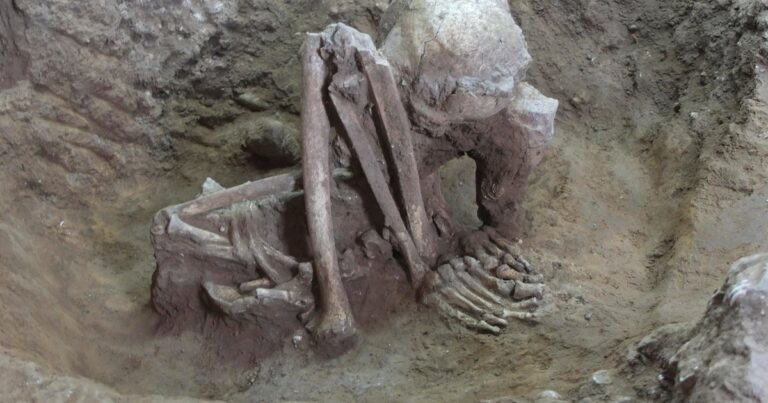 Smoke-dried human remains found in Asia may be world’s oldest known mummies, researchers say