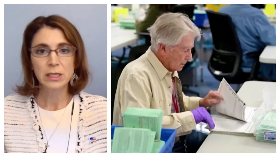 Requiring Voter ID Is Not a Barrier to Voting: Legal Analyst