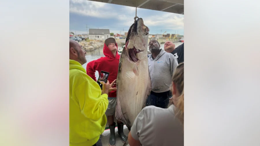 New Hampshire Teenager Battles Atlantic Halibut Bigger Than Him