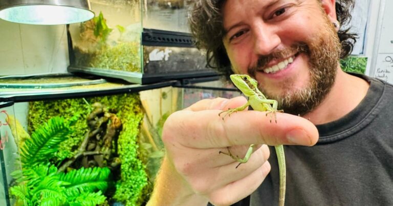 Iguana’s “virgin birth” hailed by zookeepers as “one of the rarest events in the animal kingdom”