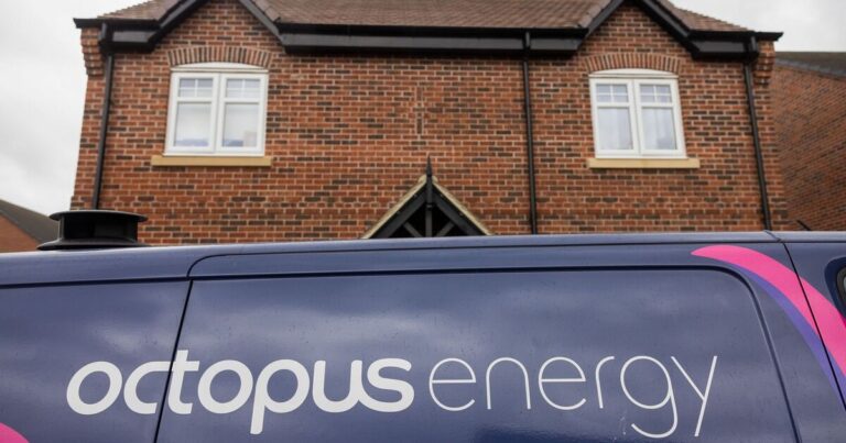 Octopus to offer customers bill support ‘directly in energy accounts within days’ | Personal Finance | Finance