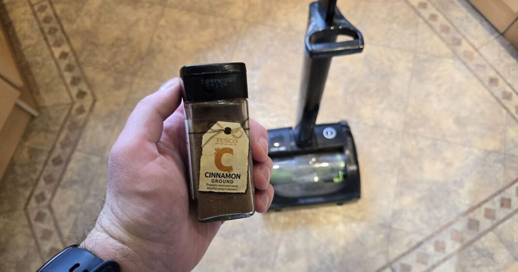 Households urged to sprinkle cinnamon powder in hoover in October | UK | News