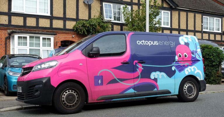 Octopus Energy recommends 87p item to slash electricity costs | Personal Finance | Finance