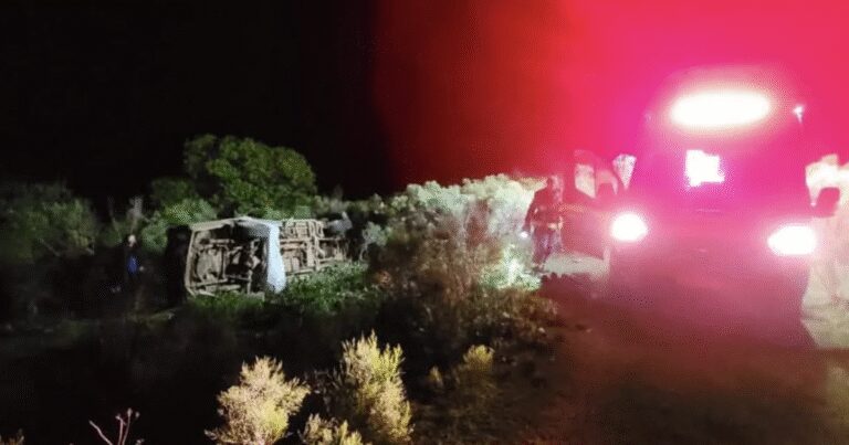 Bees sting dad and daughter to death after truck crashes into hive | World | News