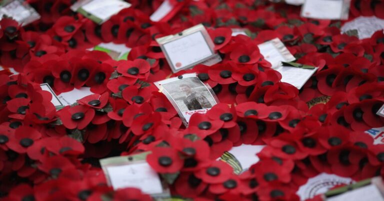 Fury as council cancels Remembrance Sunday parade over ‘health and safety fears’ | UK | News