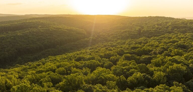 West Virginia Celebrates Outstanding Contributions to Tourism at Annual Almost Heaven Achievement Awards