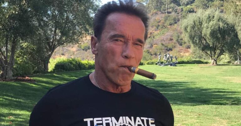 Arnold Schwarzenegger Once Revealed How He Felt Embarrassed By The Box Office Failure Of A Cult Classic: “It Hurts You…”