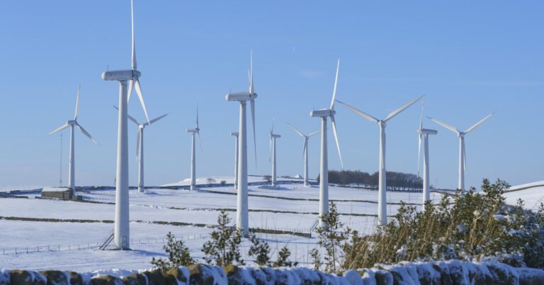 Renewable energy exceeds global coal power generation for the first time ever, analysis finds