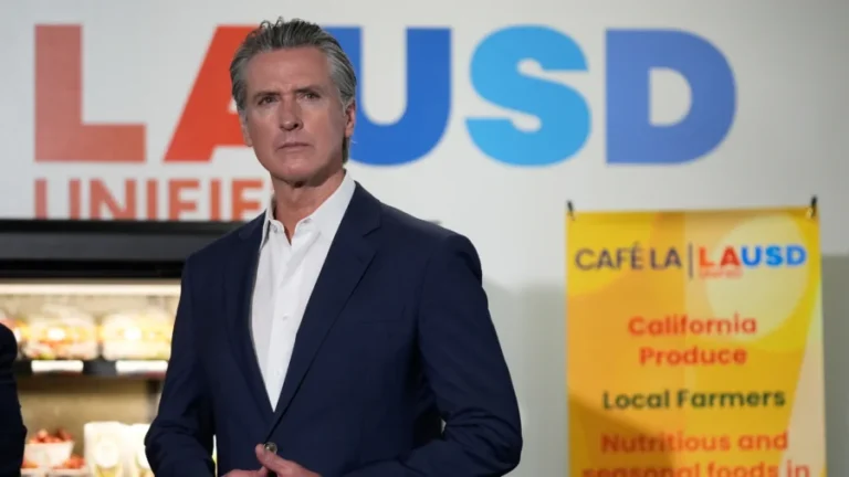 California Law Aims to Improve School Nutrition by Phasing out Some Ultraprocessed Foods
