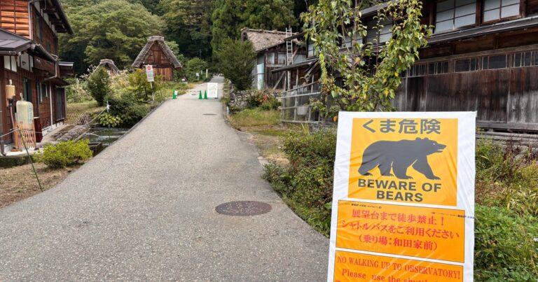 Agitated bear injures 2 people in Japan grocery store as man killed in separate suspected attack