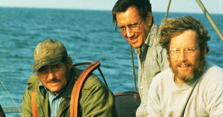 3 Sequels In 12 Years, But Steven Spielberg’s OG Remained Unbeatable With 60% Contribution!