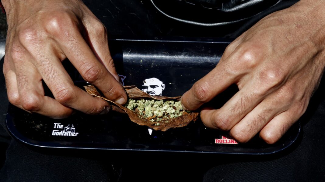 ‘Trump effect’ raises hopes for cannabis rally