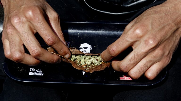 ‘Trump effect’ raises hopes for cannabis rally