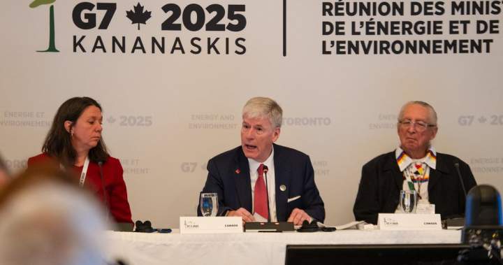 Canada announces first critical minerals projects under G7 partnership – National