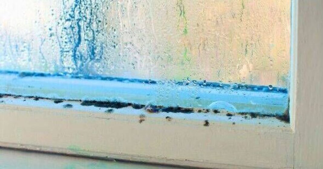 Banish condensation on windows by implementing daily habit every morning