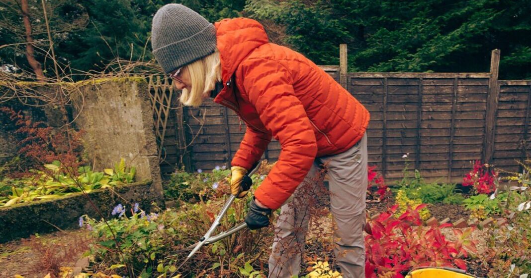 Gardeners urged to do two winter tasks – ‘you’ll thank yourself’ | Personal Finance | Finance