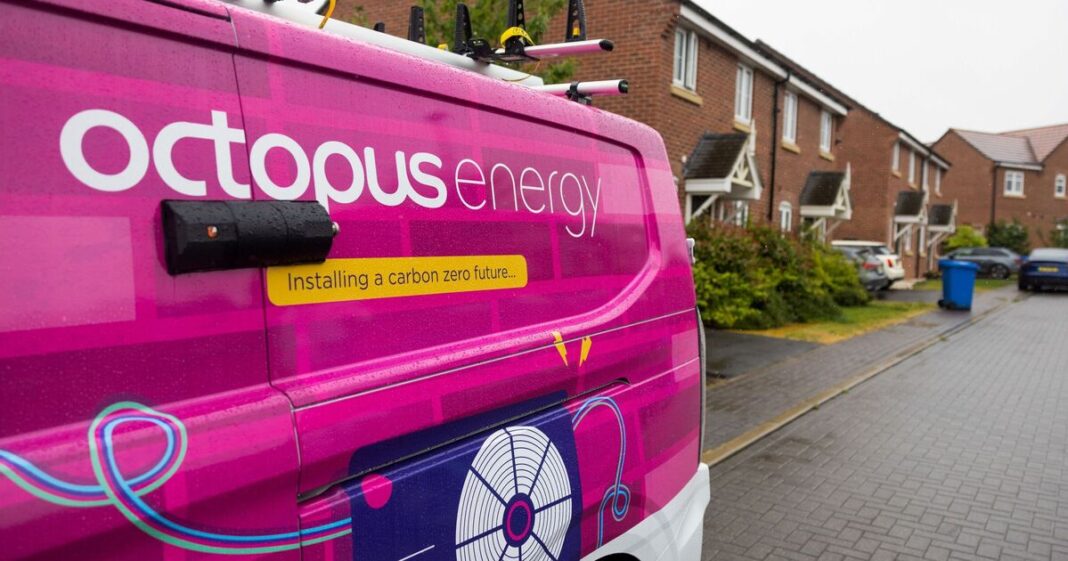 Octopus Energy boss gives update to customers on zero standing charge | Personal Finance | Finance