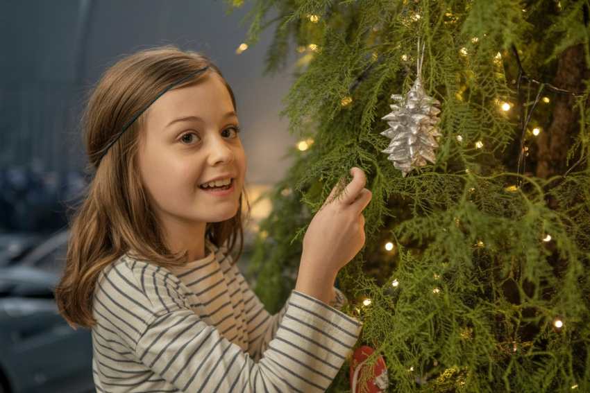 Butte’s Festival of Trees Celebrates the Holidays and Raises Funds for United Way, Supporting Local Tourism and Community Impact: Know More