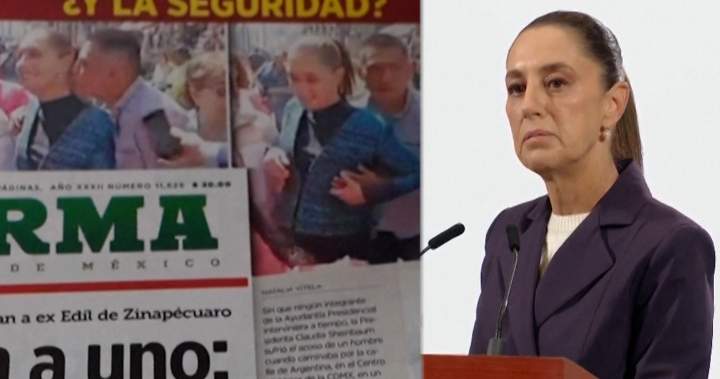 Mexico president Sheinbaum groped in the street, man arrested and charged – National