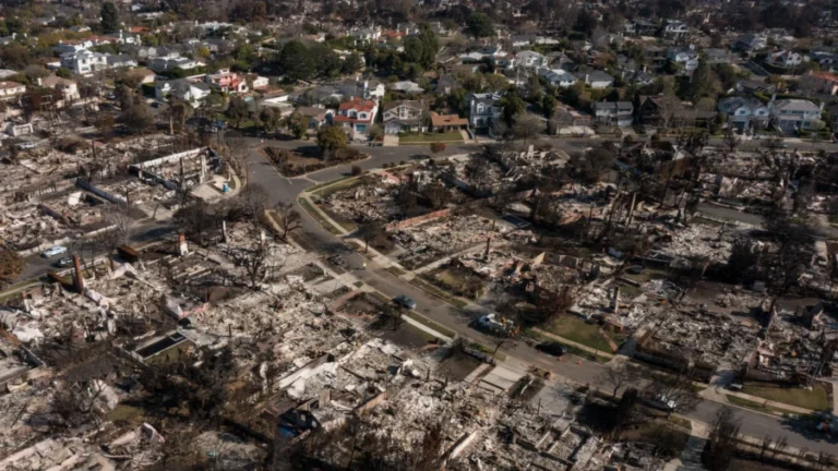 Senate Hearing Examines Palisades Fire Response