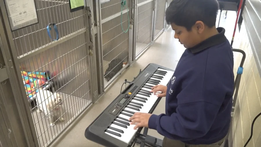 New Research Links Music to Lower Dementia Risk