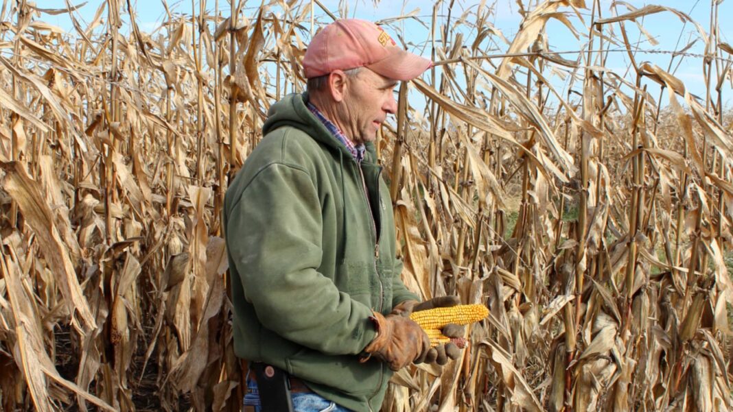 Trump announces $12 billion aid package for farmers hurt by trade war