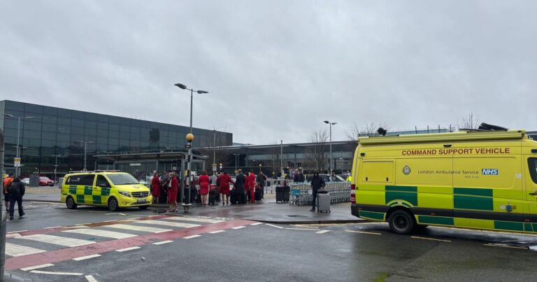 Girl, 3, injured in Heathrow Airport ‘pepper spray assault’ | UK | News