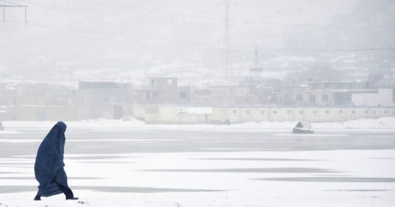 Dozens of migrants found frozen dead in the snow | World | News