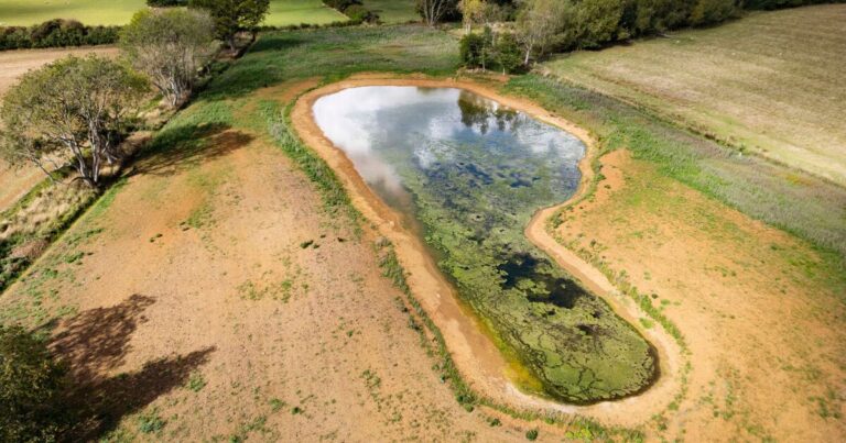 Beyonce and Jay Z’s new Cotswolds home that relies on a ‘rich person loophole’ | Celebrity News | Showbiz & TV