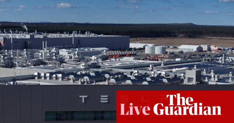 Tesla sales fall across Europe again as BYD surges; Ryanair to appeal €256m fine from Italy’s competition authority – business live | Business
