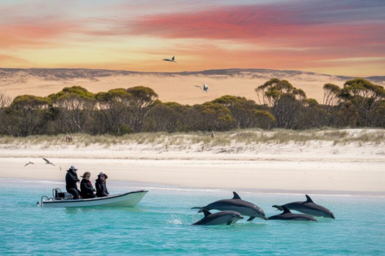 South Australia Unveils Eyre Peninsula: Ultimate Guide to Wildlife, Scenic Escapes, and Fresh Seafood Delights