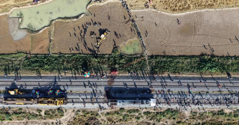 Seven elephants killed in India after passenger train collides with herd