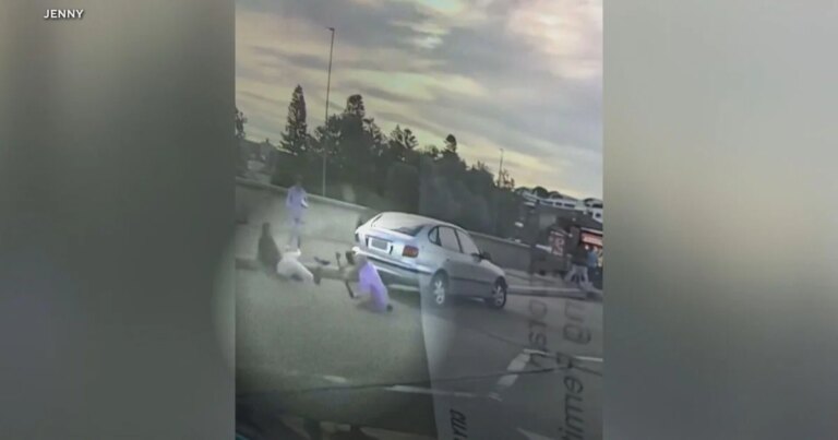 Video shows couple trying to stop Bondi Beach gunmen moments before the attack. They became the first victims.