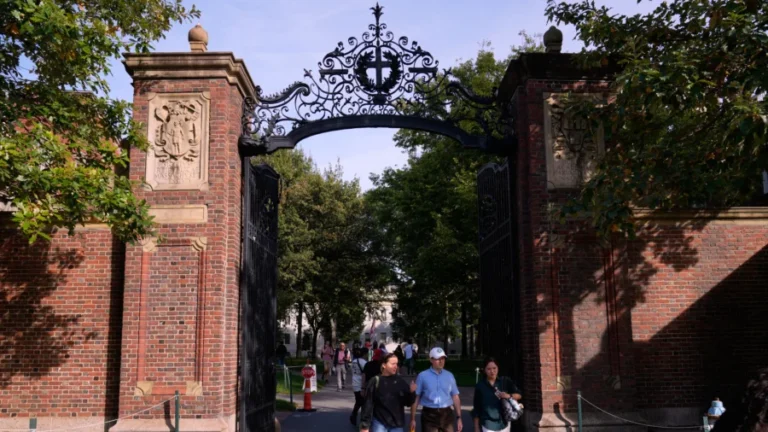 Harvard Professor Leaves US After Arrest With Pellet Gun Near Synagogue, Said He Was Hunting Rats
