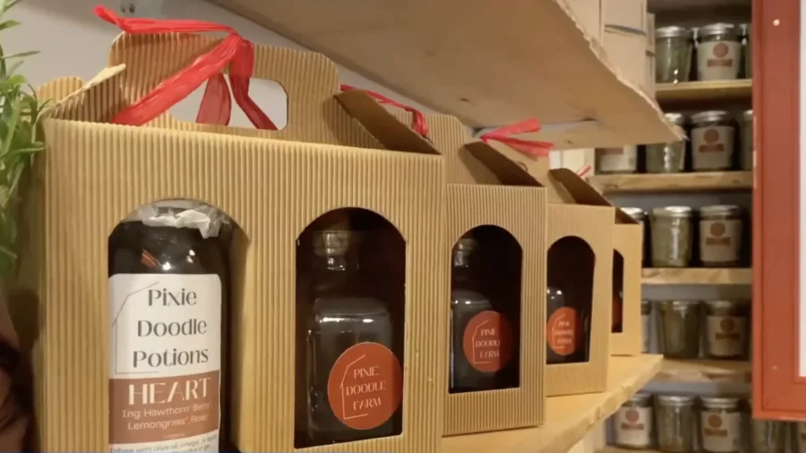 Union Square NYC Holiday Market 2025