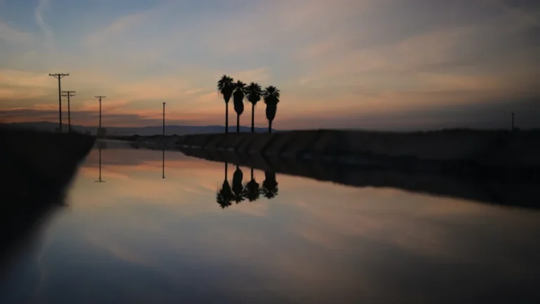 California Farmer Arrested on Suspicion of Murder in Wife’s Death in Arizona